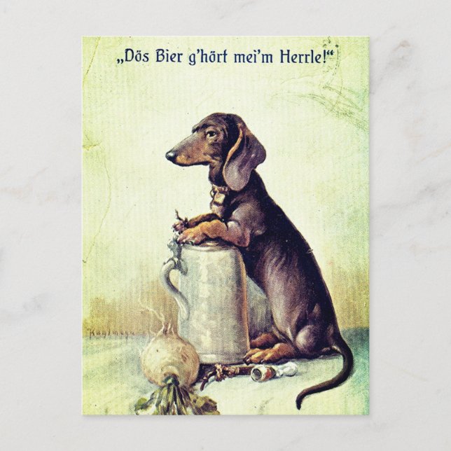 Carte Postale Cette bière appartient à mon maître ! (Devant)