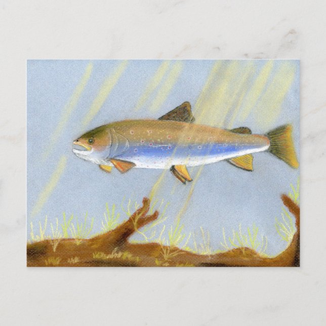Carte Postale Cette oeuvre d'art primée présente le Brook Trou (Devant)