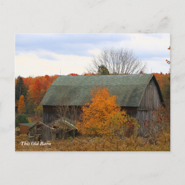 Carte Postale Cette Vieille Grange (Devant)