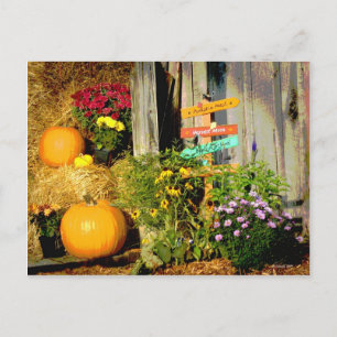 Carte Postale Cette voie aux Citrouilles