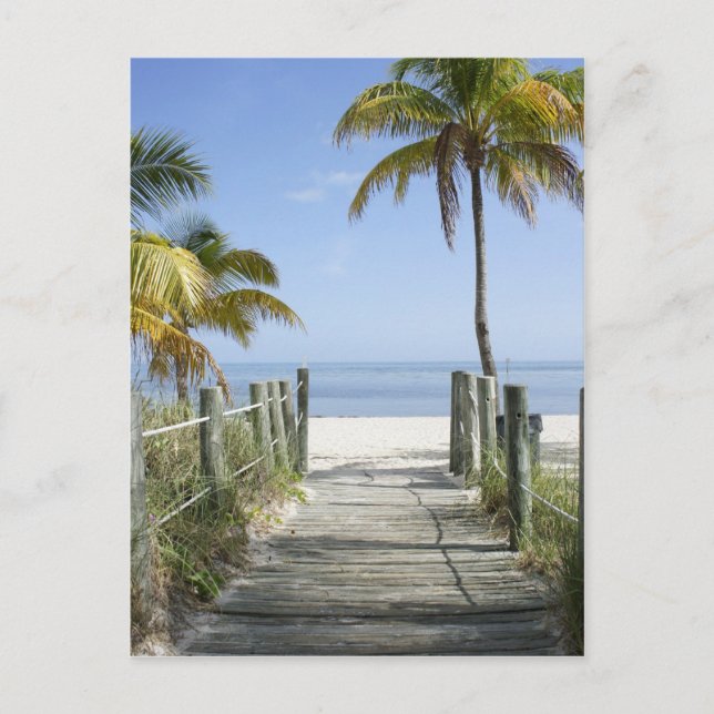 Carte Postale Cette voie vers le paradis (Devant)