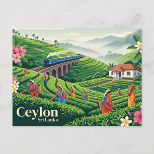 Carte Postale Ceylan Sri Lanka