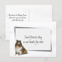 Chagrin de perte d'animal familier Colley