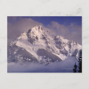 Carte Postale chaîne de montagnes du Denali, Alaska