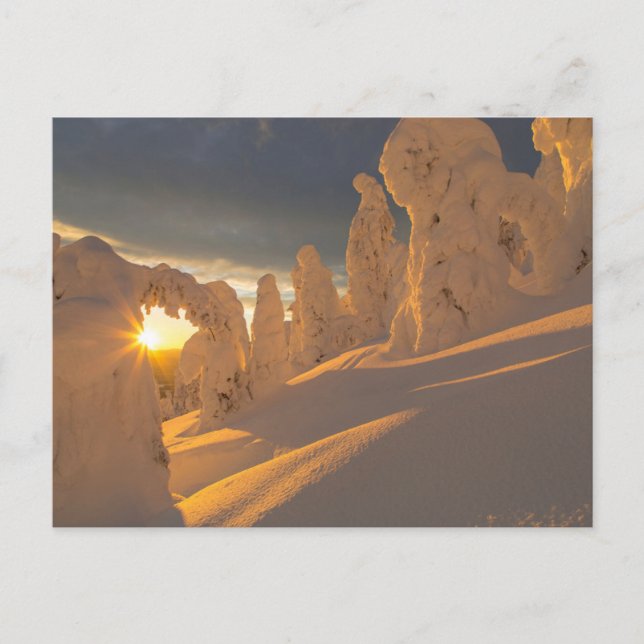 Carte Postale Chaîne Whitefish | Whitefish, Montana (Devant)