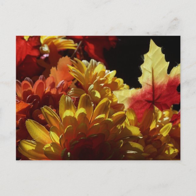 Carte Postale Chaleur d'automne (Devant)