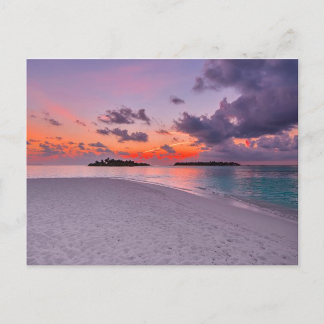 Carte Postale Chaleureux Tropical Paradise Beach coucher de sole (Devant)