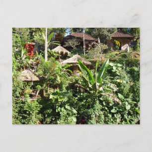 Carte Postale Chambre avec vue, Ubud, Bali Indonésie