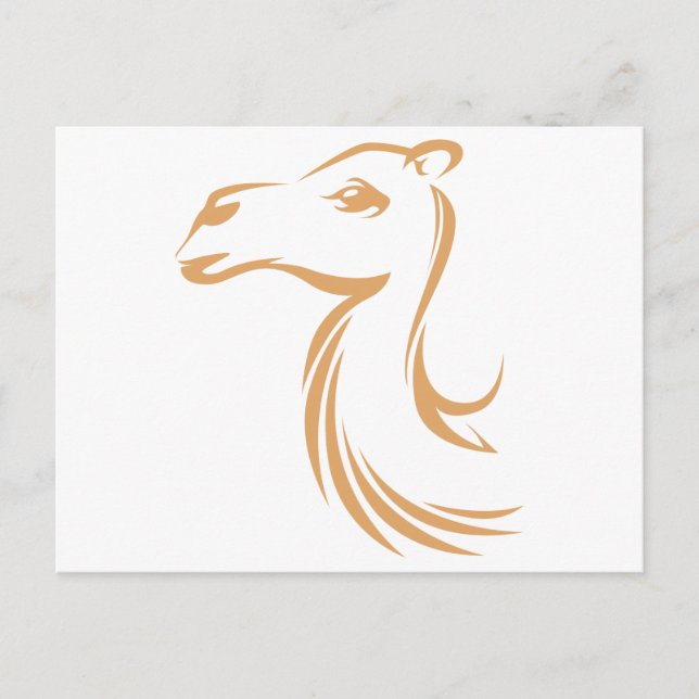 Carte Postale Chameau en style dessin désiré (Devant)