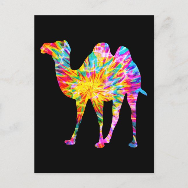 CARTE POSTALE CHAMEAU TIE DYE (Devant)