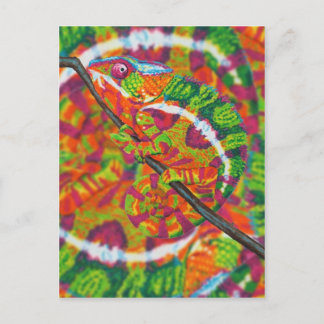 Carte Postale Chameleon caché