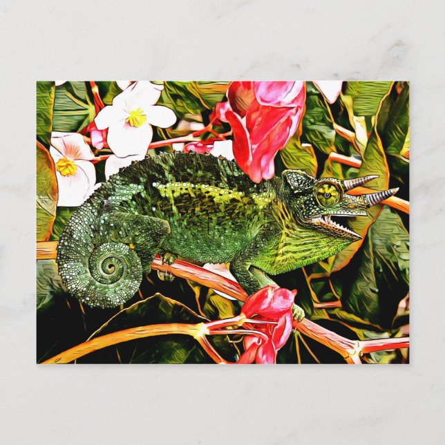 Carte Postale Chameleon Charisma (Devant)