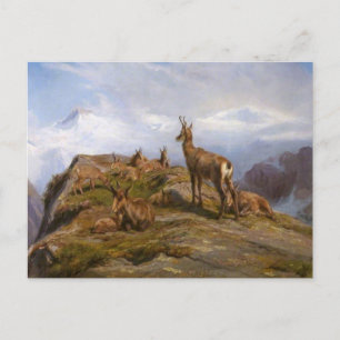 Carte postale Chamois de Rosa Bonheur