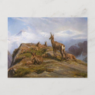 Carte postale Chamois par Rosa Bonheur