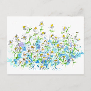 Carte Postale Chamomile Daisy Garden Bonjour À Vous