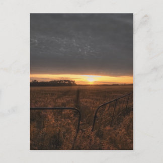 Carte Postale champ agricole