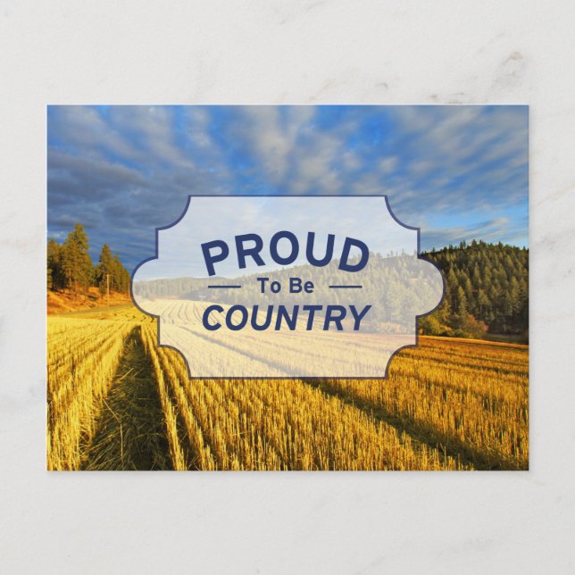 Carte Postale Champ de blé après récolte (Devant)