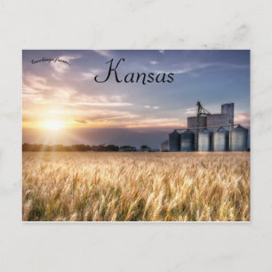 Carte Postale Champ de blé du Kansas