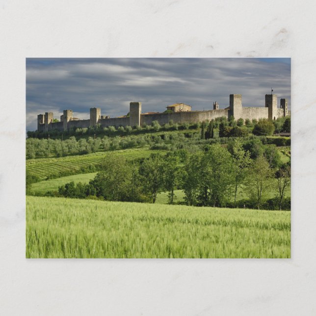Carte Postale Champ de blé et Monteriggioni lointain, dans la (Devant)