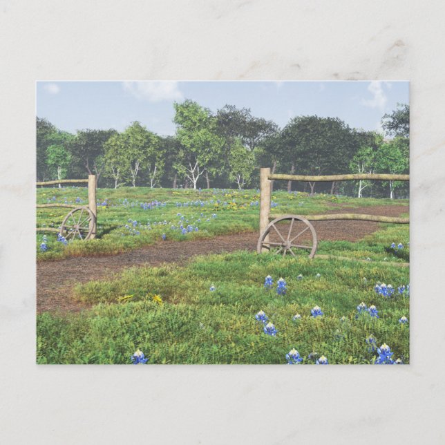 Carte Postale Champ de Bluebonnets (Devant)