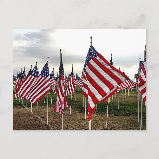 Carte Postale Champ de drapeaux - drapeaux américains patriotiqu (Devant)