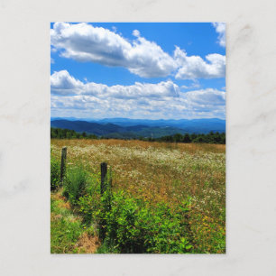 Carte Postale Champ de fleurs et de montagnes