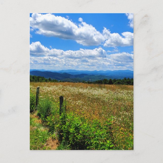 Carte Postale Champ de fleurs et de montagnes (Devant)