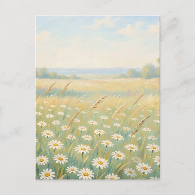Carte Postale Champ de fleurs sauvages de marguerites blanches e (Devant)
