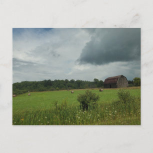 Carte Postale Champ de foin