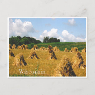 Carte Postale Champ de foin