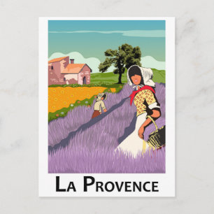 Carte Postale Champ de Lavanda en Provence, France