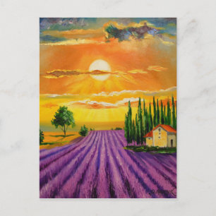 Carte Postale Champ de lavande au coucher du soleil