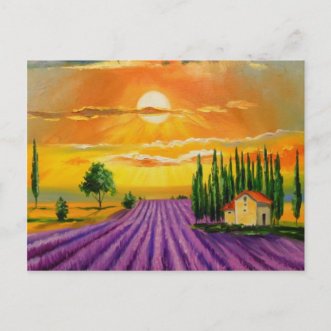 Carte Postale Champ de lavande au coucher du soleil (Devant)