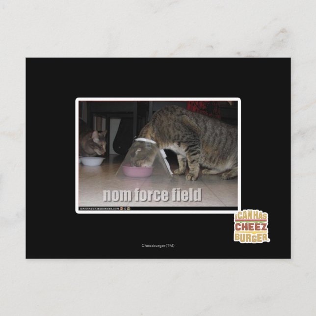 Carte Postale champ de nom force (Devant)