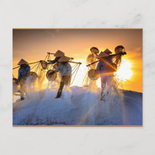 Carte Postale Champ de sel du Vietnam