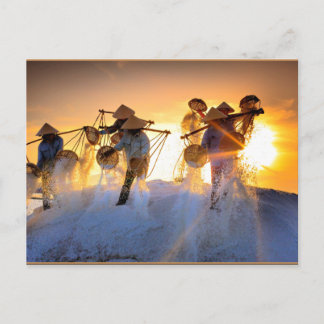 Carte Postale Champ de sel du Vietnam