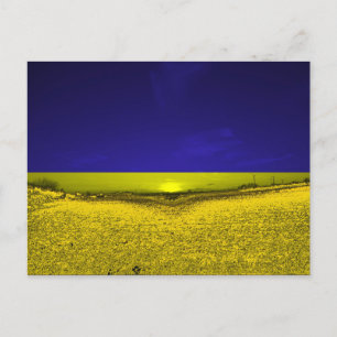 Carte Postale Champ en couleurs en Ukraine