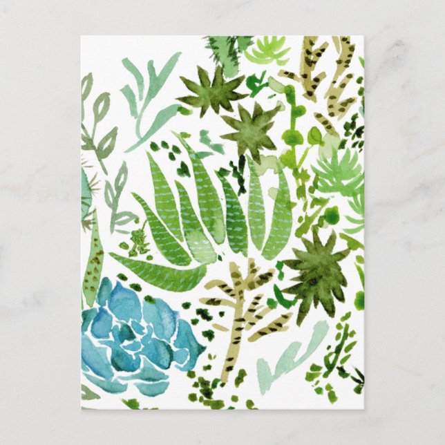Carte Postale Champ I Succulent (Devant)