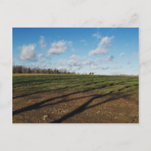 Carte Postale Champ III de novembre