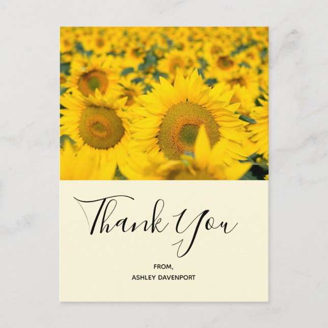 Carte Postale Champ jaune de Merci de tournesol (Devant)