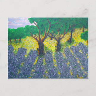 Carte Postale Champ Lavender