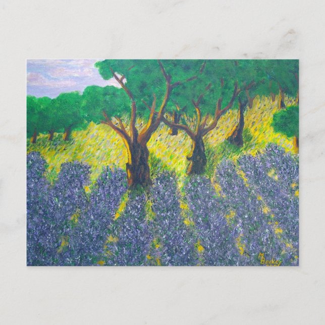 Carte Postale Champ Lavender (Devant)