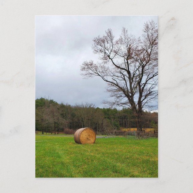 Carte Postale Champ le jour nuageux (Devant)