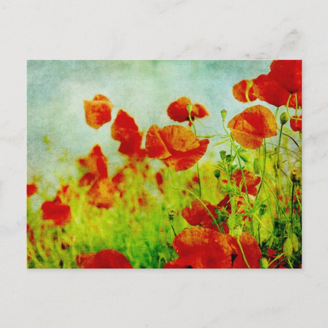 Carte postale Champ Poppy (Devant)