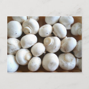 Carte Postale Champagne