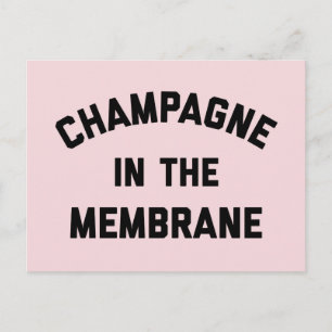 Carte Postale Champagne Membrane Funny Citation