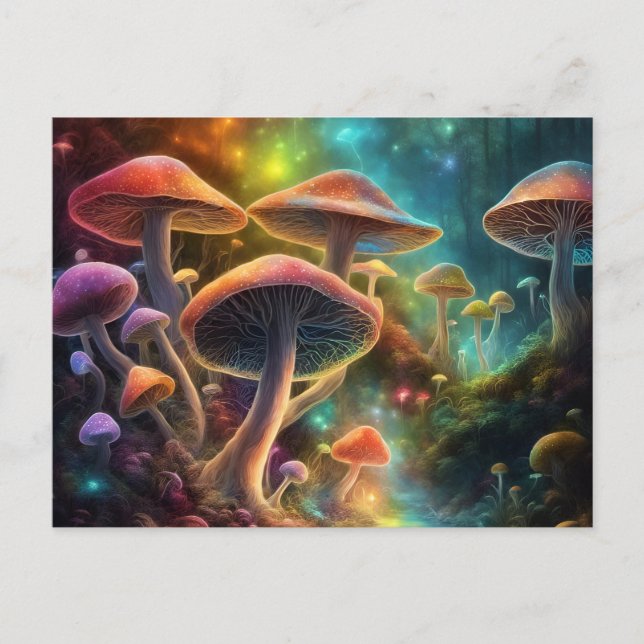 Carte postale Champignons (Devant)