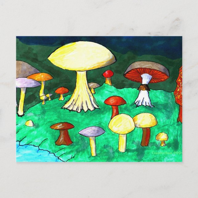 Carte Postale Champignons (Devant)