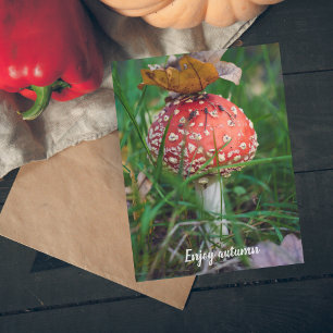 Carte Postale Champignons agariques à la mouche rouge