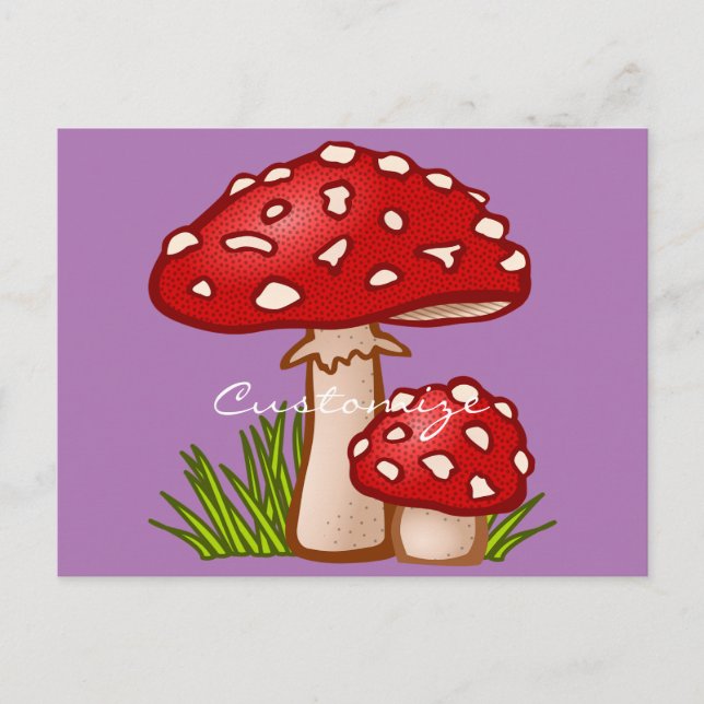 Carte Postale Champignons Amanita Rouge Thunder_Cove (Devant)